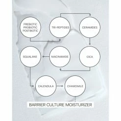 Brand new 🌟 The Nue Co. Barrier Culture Moisturizer 😀 -Skincare Shop 5060506361635 alt5